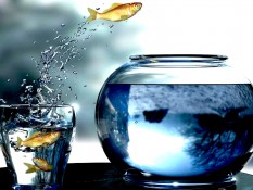 یافتن خوشبختی - دکتر طباطبایی
