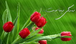 ارکان خوشبختی - دکتر طباطبایی