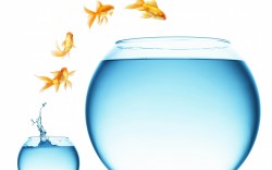 تغییر چارچوب های ذهنی - دکتر طباطبایی